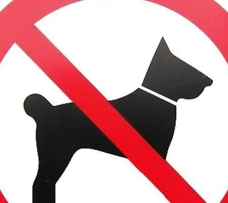 Lovrencic Appartement Vrsi