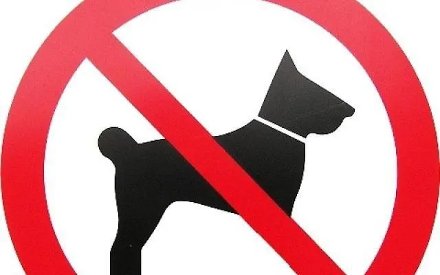 Lovrencic Lägenhet Vrsi